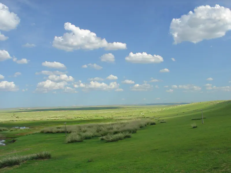 Wallpaper Blue Sky